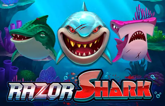 Razor Shark slot.