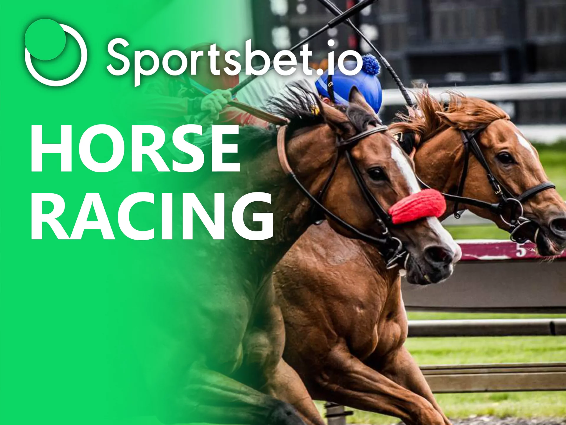 You can bet on horse racing ar Sportsbet.